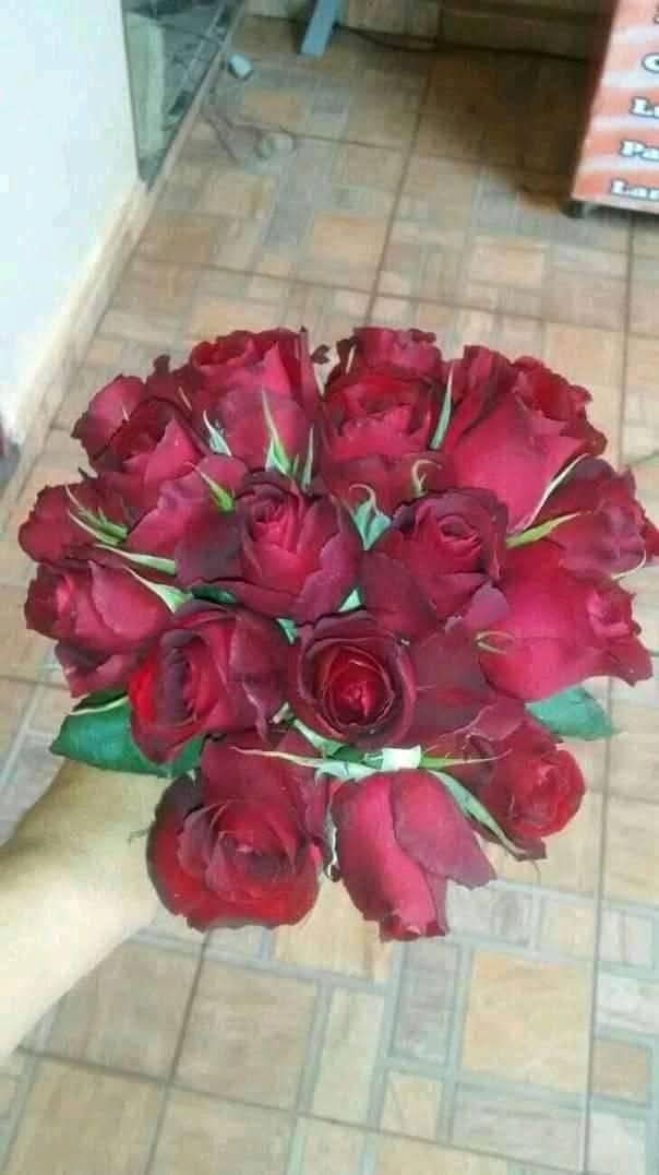 mão segurando um buquê de rosas vermelhas sobre piso de cerâmica